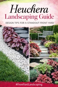 Read more about the article Heuchera Landscaping Guide: Design Tips for a Standout Front Yard